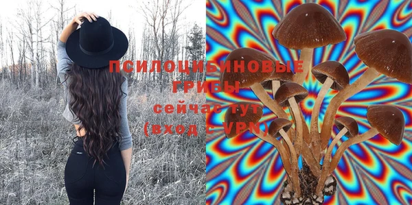 эйфоретик Абаза