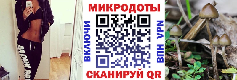 Галлюциногенные грибы ЛСД  Грязи 